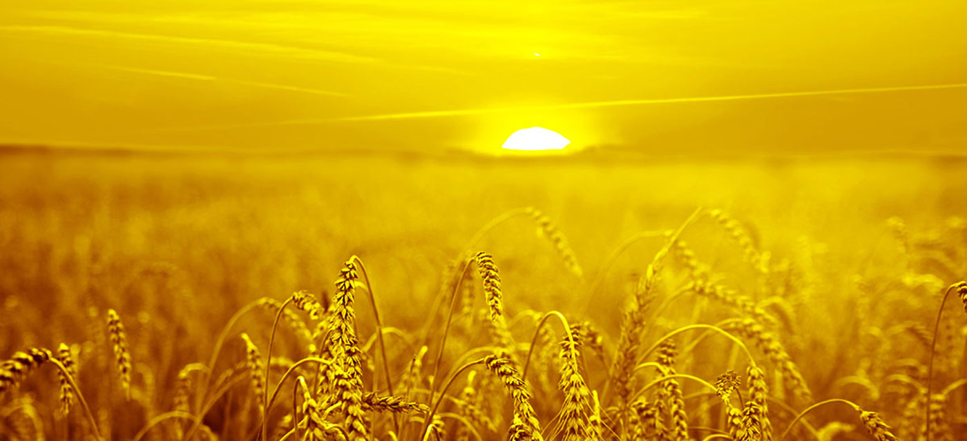 हामी रंग समाधानहरू प्रस्ताव राख्छौं